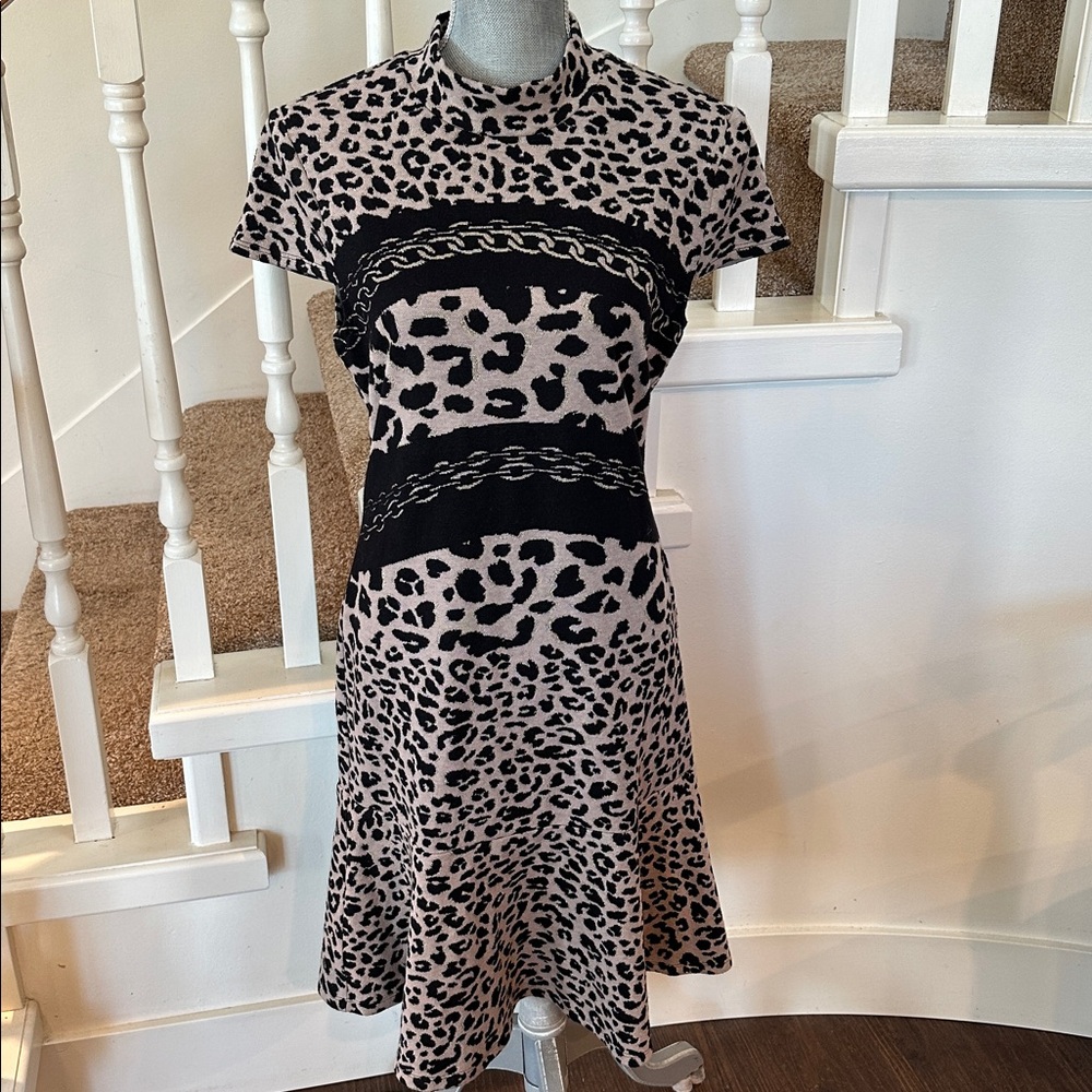 Frank Lyman dress(sweater)